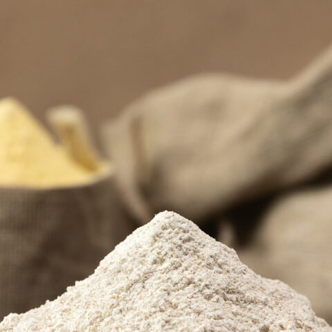 FAQ: Fermentation-derived Protein Isolate…JirehPro