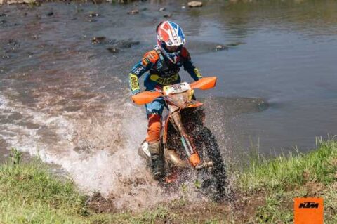 Matt Stevens 013.600