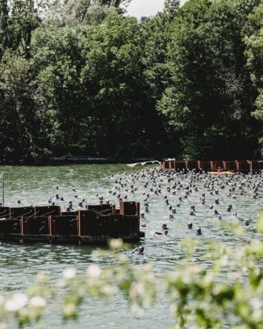 ashley de lotz Xm6Jv1wu6aw unsplash 600