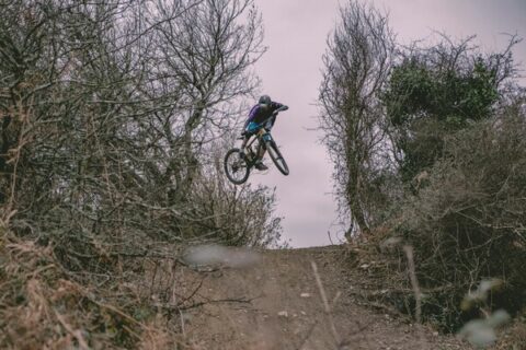 carter moorse lzBY6zT0bcU unsplash.600