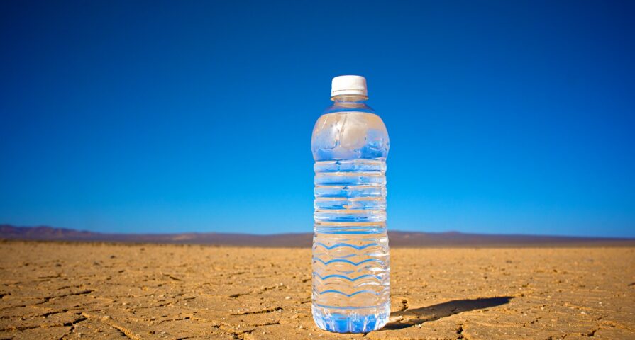 What is PaceLyte ELECTROLYTE formula and how do I use it?