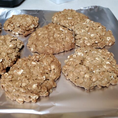 www.publicdomainpictures.net_n_free-download.phpimageoatmeal-cookiesid376074_oatmeal-cookies-1608354635btq