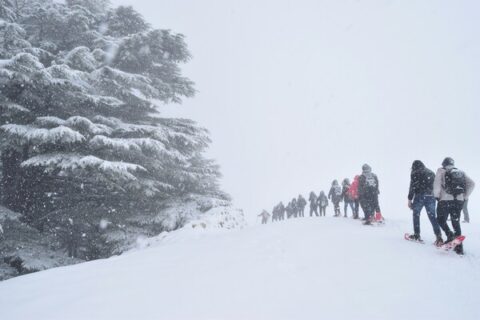 rudy issa 7s27WL5WFzE unsplash 600